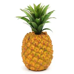 Ananas Imported from Africa 1 Pc